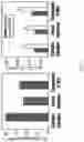 Fig. 22 - NOVEL MICRO-DYSTROPHINS AND RELATED METHODS OF USE