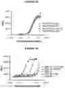 Fig. 07 - STABILIZED PROTEOLYTICALLY ACTIVATED GROWTH DIFFERENTIATION FACTOR 11