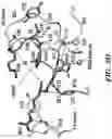 Fig. 09 - Modified integrin polypeptides, modified integrin polypeptide dimers, and uses thereof
