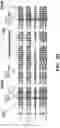 Fig. 13 - Modified integrin polypeptides, modified integrin polypeptide dimers, and uses thereof