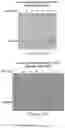 Fig. 10 - Methods of treating cancer by administering inhibitory RNA molecules targeting protease serine 2 (PRSS2) expression