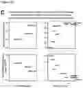 Fig. 07 - Methods to identify immunogens by targeting improbable mutations