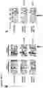 Fig. 10 - Methods to identify immunogens by targeting improbable mutations