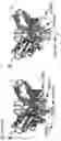 Fig. 16 - Methods to identify immunogens by targeting improbable mutations