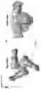 Fig. 17 - Methods to identify immunogens by targeting improbable mutations
