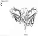 Fig. 46 - Methods to identify immunogens by targeting improbable mutations