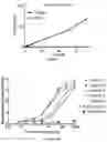 Fig. 10 - IL-11 antibodies