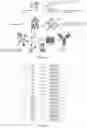 Fig. 15 - IL-11 antibodies