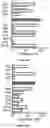 Fig. 19 - IL-11 antibodies