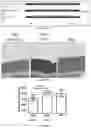 Fig. 43 - IL-11 antibodies