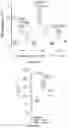 Fig. 65 - IL-11 antibodies