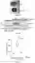 Fig. 76 - IL-11 antibodies