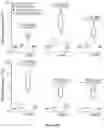 Fig. 80 - IL-11 antibodies