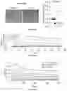 Fig. 82 - IL-11 antibodies