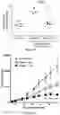 Fig. 91 - IL-11 antibodies