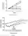 Fig. 94 - IL-11 antibodies