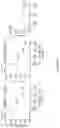 Fig. 99 - IL-11 antibodies