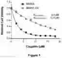Fig. 02 - Combination Therapy for Treating Cancer