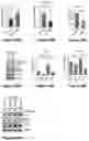 Fig. 49 - Combination Therapy for Treating Cancer