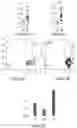 Fig. 07 - Method for isolating HIV reservoir cells expressing CD32a cell marker