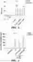 Fig. 04 - METHODS TO MANIPULATE ALPHA-FETOPROTEIN (AFP)