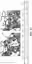 Fig. 15 - METHODS TO MANIPULATE ALPHA-FETOPROTEIN (AFP)