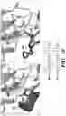 Fig. 19 - METHODS TO MANIPULATE ALPHA-FETOPROTEIN (AFP)