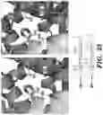 Fig. 23 - METHODS TO MANIPULATE ALPHA-FETOPROTEIN (AFP)