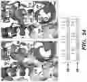 Fig. 24 - METHODS TO MANIPULATE ALPHA-FETOPROTEIN (AFP)