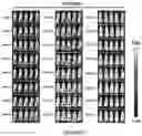 Fig. 06 - Drug delivery compositions and uses thereof