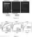 Fig. 11 - Drug delivery compositions and uses thereof