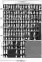 Fig. 18 - Drug delivery compositions and uses thereof