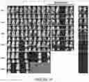 Fig. 19 - Drug delivery compositions and uses thereof