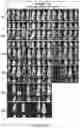 Fig. 20 - Drug delivery compositions and uses thereof