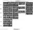 Fig. 23 - Drug delivery compositions and uses thereof