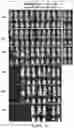 Fig. 25 - Drug delivery compositions and uses thereof