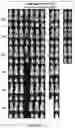 Fig. 27 - Drug delivery compositions and uses thereof