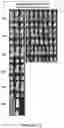 Fig. 28 - Drug delivery compositions and uses thereof