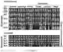 Fig. 43 - Drug delivery compositions and uses thereof