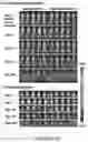 Fig. 63 - Drug delivery compositions and uses thereof