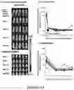 Fig. 65 - Drug delivery compositions and uses thereof