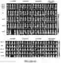 Fig. 70 - Drug delivery compositions and uses thereof