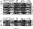 Fig. 75 - Drug delivery compositions and uses thereof