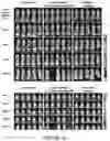 Fig. 78 - Drug delivery compositions and uses thereof
