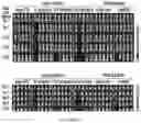 Fig. 80 - Drug delivery compositions and uses thereof