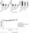 Fig. 87 - Drug delivery compositions and uses thereof