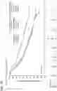 Fig. 12 - Therapeutic and diagnostic methods for cancer