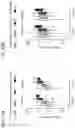 Fig. 22 - Therapeutic and diagnostic methods for cancer