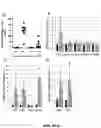Fig. 04 - Methods for treating and/or reducing the likelihood of heart failure by administering anti-activin receptor type II (anti-ActRII) antibody