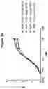 Fig. 06 - Monoclonal antibodies against HER2 epitope and methods of use thereof